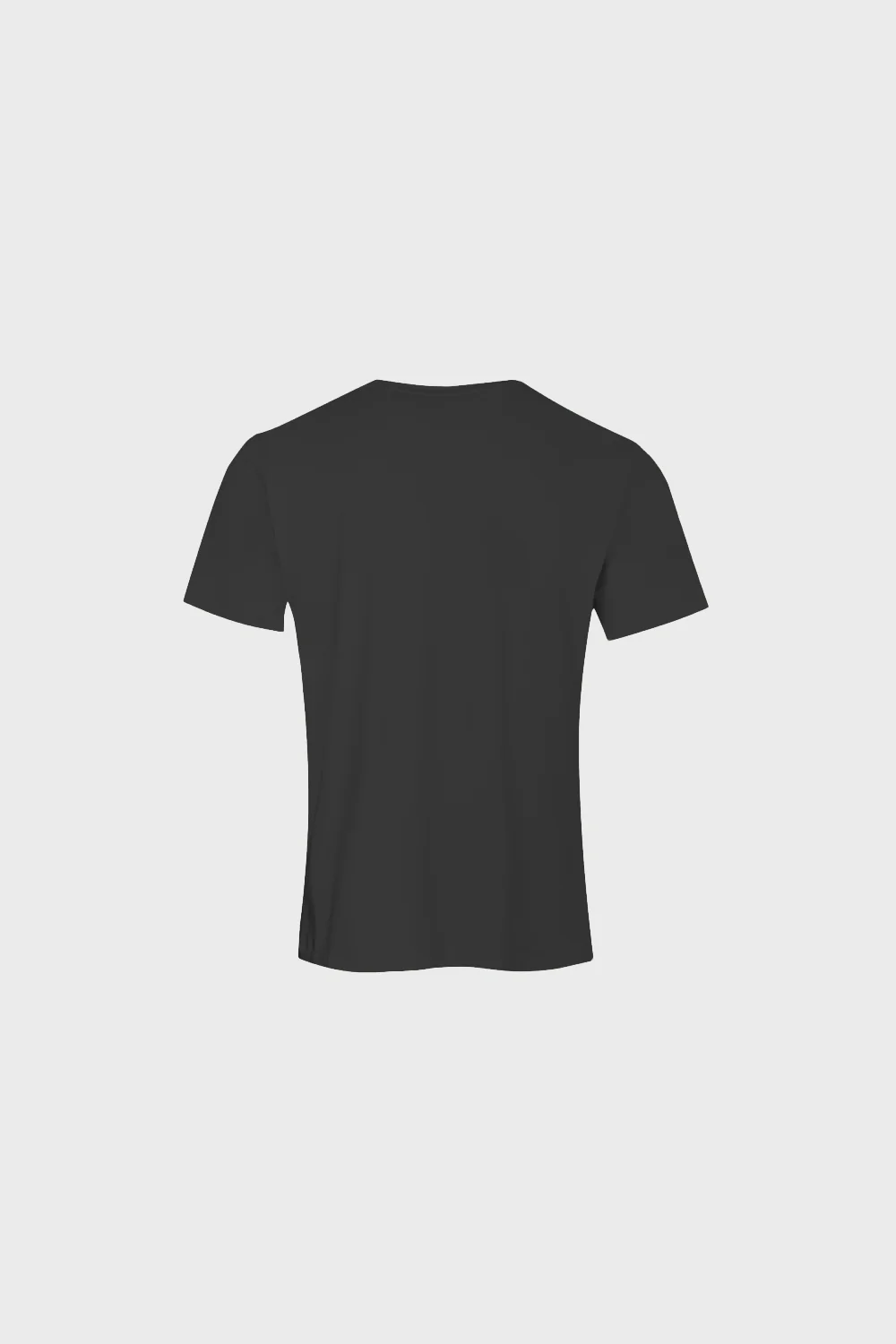 T-shirt Mr Classic Grey - Image 5